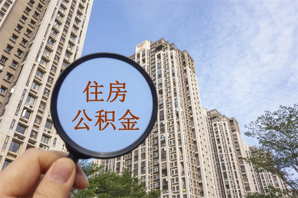 东平离职可以取出公积金吗（离职可以取公积金嘛）
